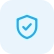 Website performance and security icon